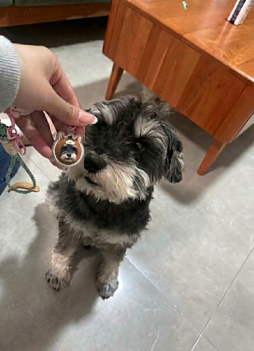 Pet Stackies - Custom 3D Pet Charms From Photo - Pet Keychain From Photo – Personalized Dog & Cat Charm Gift