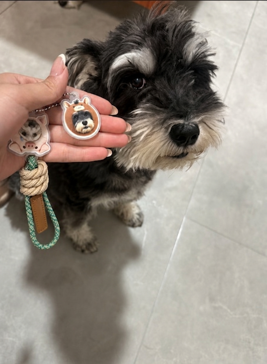Pet Stackies - Custom 3D Pet Charms From Photo - Pet Keychain From Photo – Personalized Dog & Cat Charm Gift